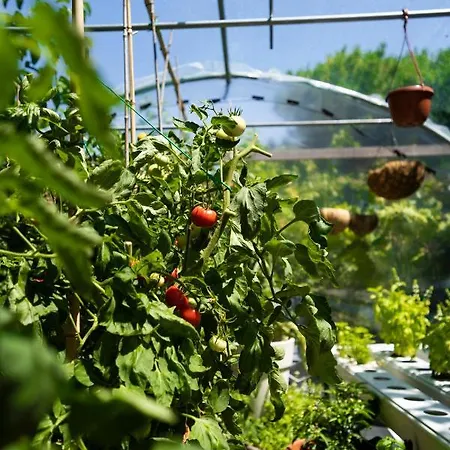 Piccolo E Grill Hotell *